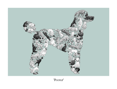 Poodle