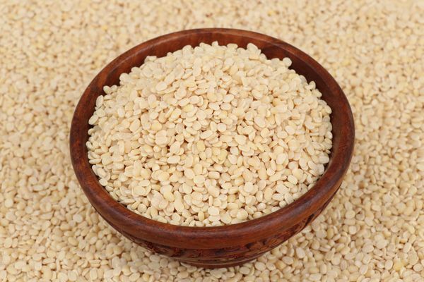 urad dal plant