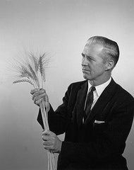 Dr. Norman Boraug, the father of modern wheat