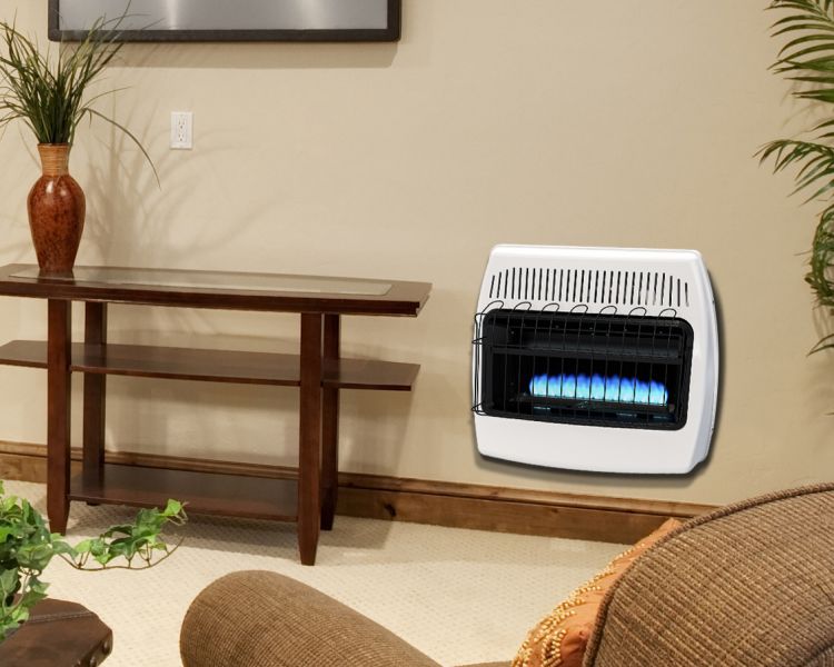 Are Blue Flame Natural Gas Heaters Safe?  