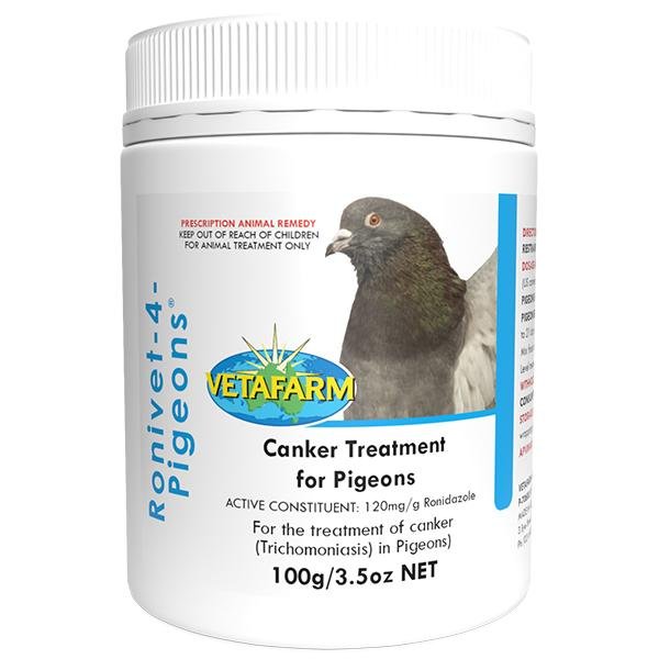 pigeon canker treatment