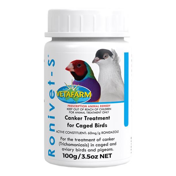 pigeon canker treatment