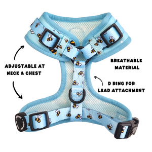 Bumble Blue Adjustable Dog Harness