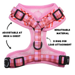 Red / Pink Tartan Harness