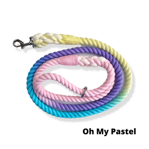 Mystery Rope Dog Lead