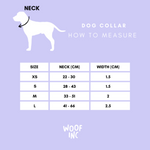 Skater Pup Lilac Collar