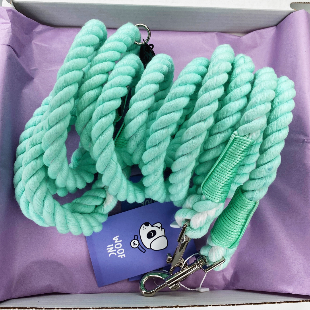 SECONDS Mint Green Dog Rope Lead