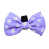 Purple Daize Bow Tie