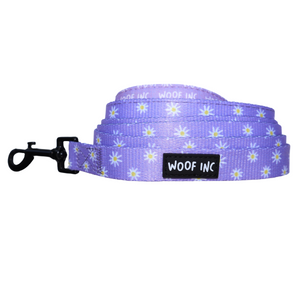 Purple Daize Lead - SOLD OUT