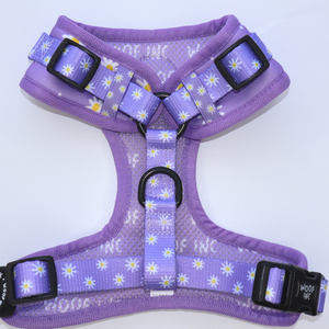 Purple Daize Adjustable Harness