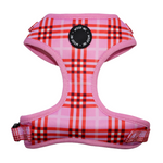 Red / Pink Tartan Harness