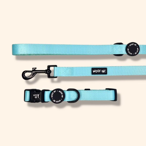 Skater Pup Mint Collar and Lead Set