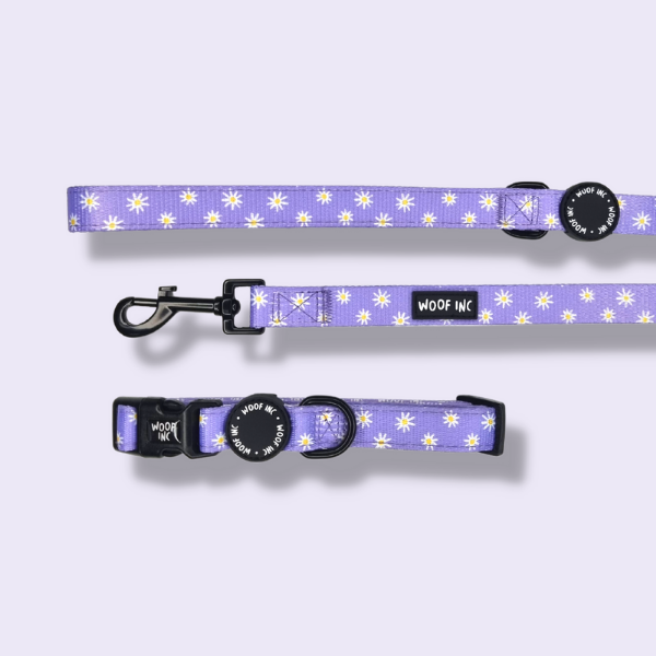 Purple Daize Collar and Lead Set - SOLD OUT