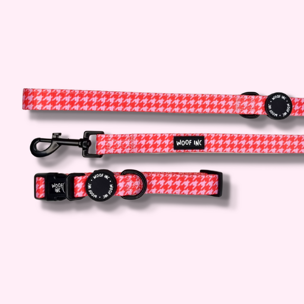 Red & Pink Houndstooth Collar and Lead Set