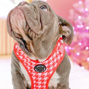 SECONDS Red / Pink Houndstooth Harness