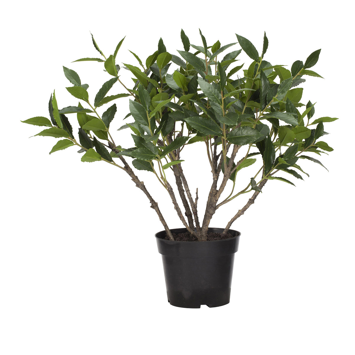 Kunstig busk medium 53 cm høj kunstig plante