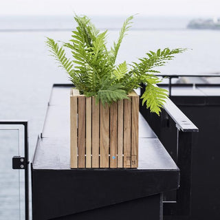 SQUARELY GrowOn plantekasse Ask