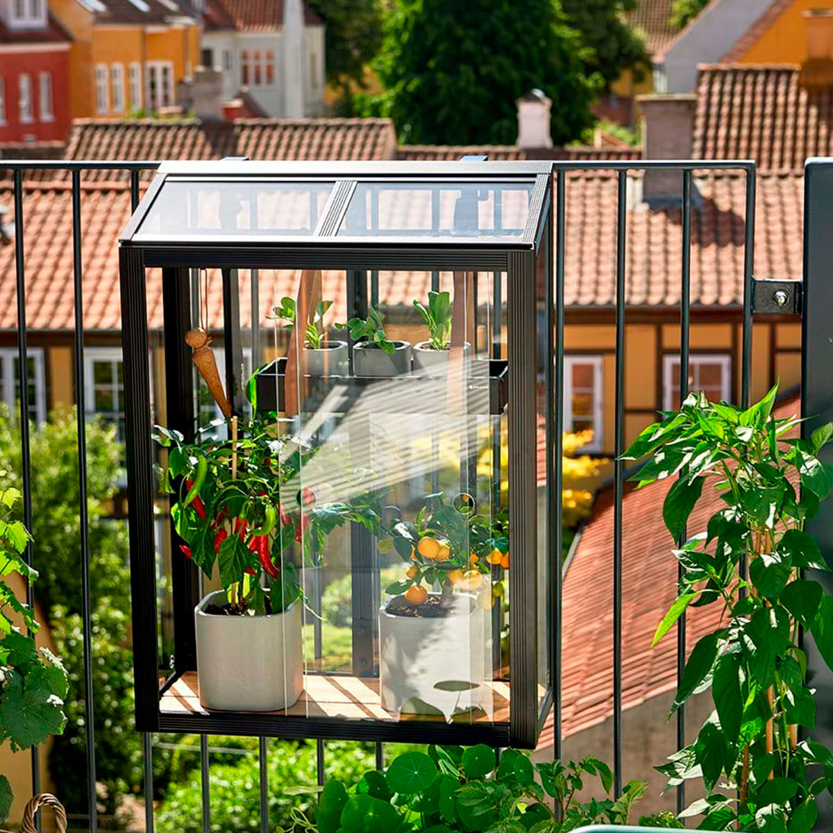 Modstander Udover om forladelse Balcony Greenhouse fra Juliana - perfekt hænge-drivhus til altanen
