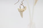 Whalebone Shark tooth Earrings