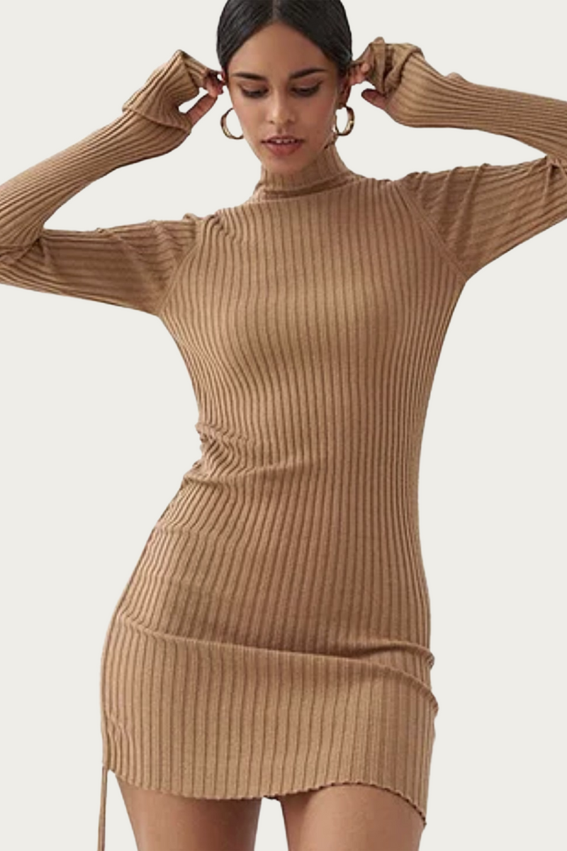 RIBBEDKNIT TURTLENECK MINI DRESS MELODY The Silence Company