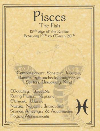 Pisces zodiac poster Default Title