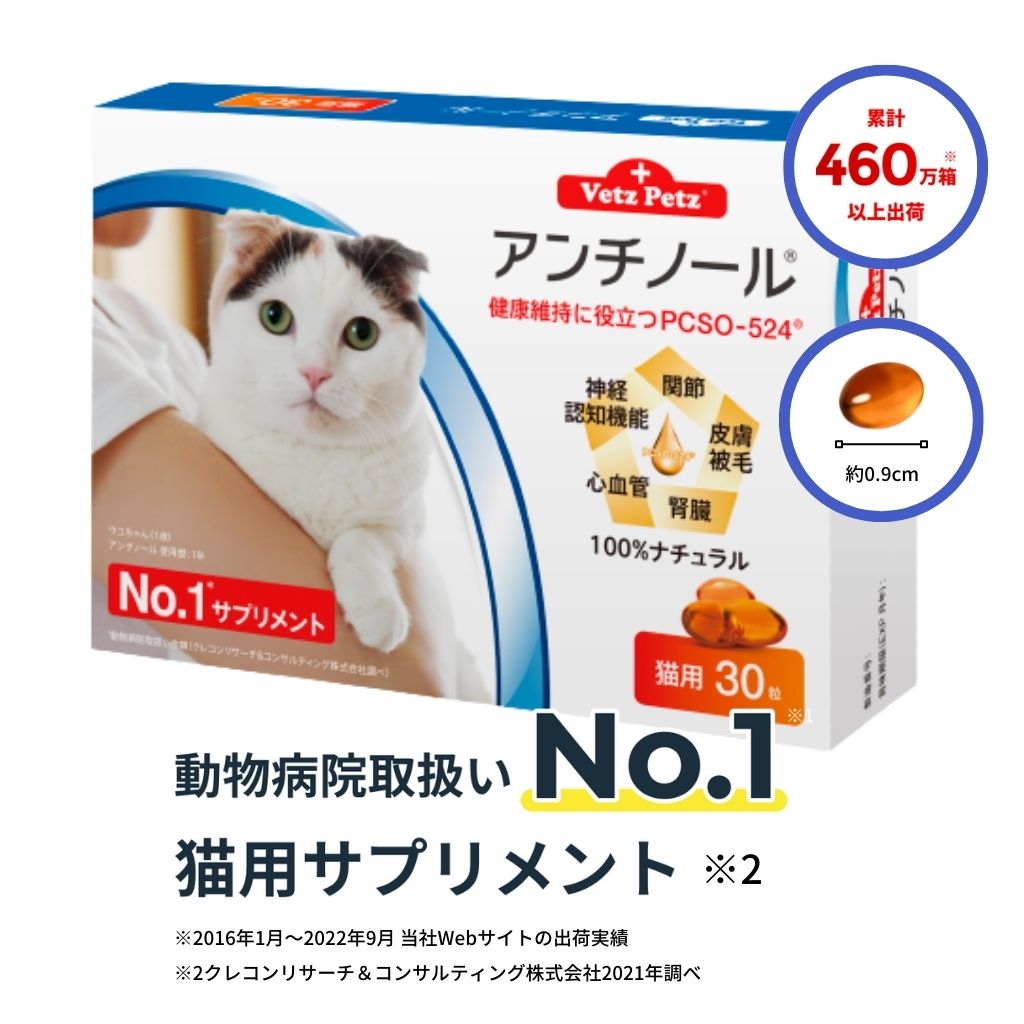 アンチノール (猫用)┃動物病院取扱いNo.1サプリメント – ベッツペッツ公式サイト