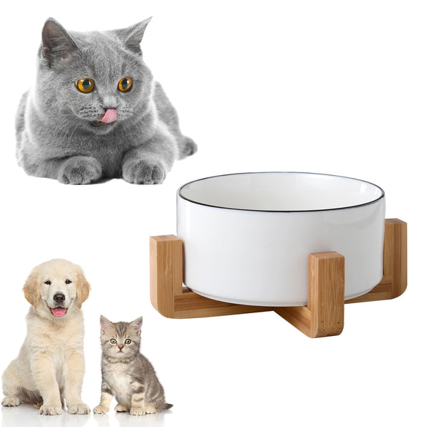 Ceramic Raised Cat Bowl With Wood Stand