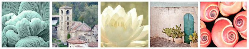 Fall color insiration