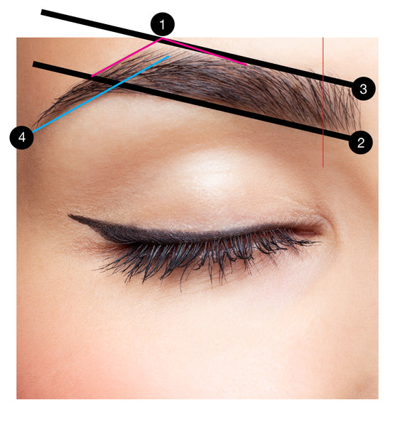 Beautiful Brow Basics A Complete Guide To Perfect Brows Dollup Beauty