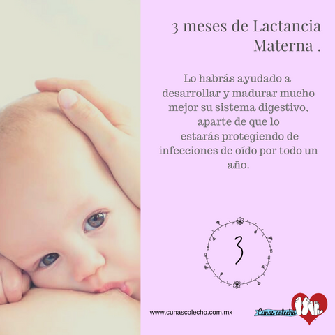 3 meses de lactancia