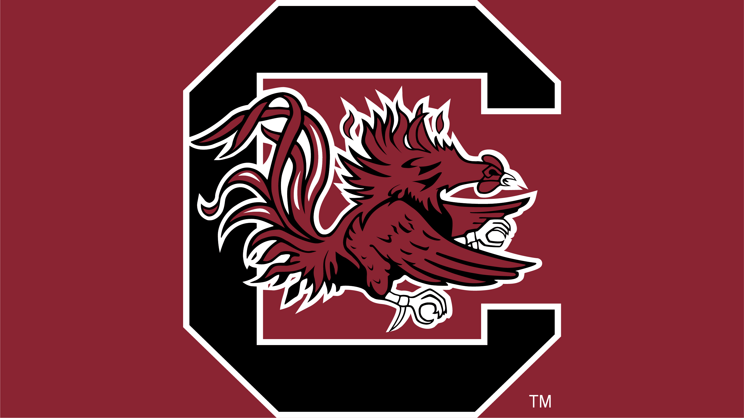 Team Color NCAA Logo Brands South Carolina Fighting Gamecocks Quad Chair 
