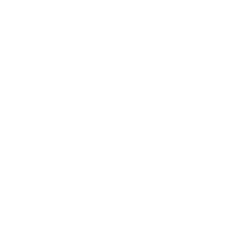 logo PS