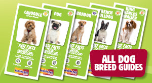 Back to All Dog Breed Guides