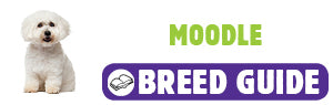 Moodle breed guide