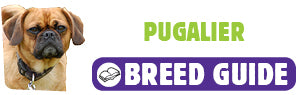 Pugalier breed guide