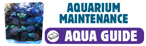 Download Aquarium Maintenance Guide