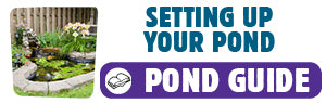 Download Setting Up Your Pond Guide