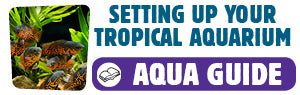Download Setting Up Your Tropical Aquarium Guide