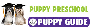 Puppy Preschool Pet School Brochure