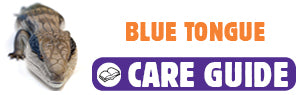 Click here to view Blue Tongue care guide
