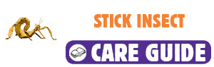 Click here to view Stick Insect care guide