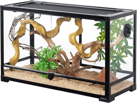 bearded dragon habitat