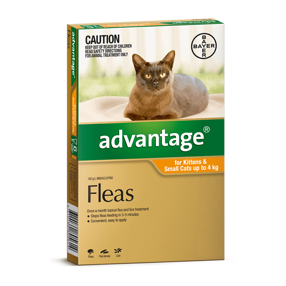 advantage flea treatment for cats