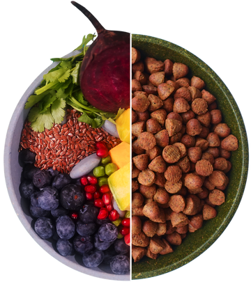 Vitamins & Minerals (1).png