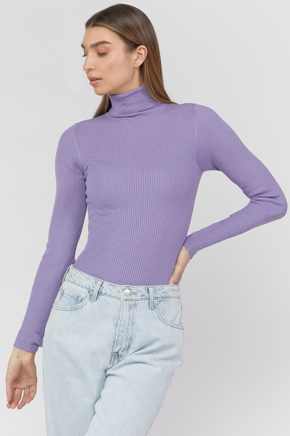 Ribbed Turtle Neck Long Sleeve Top Purple
