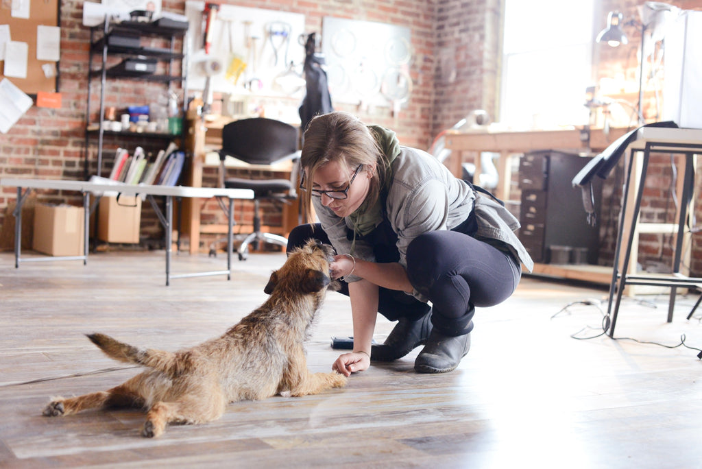 Emily Shaffer Studio with dog, Brill