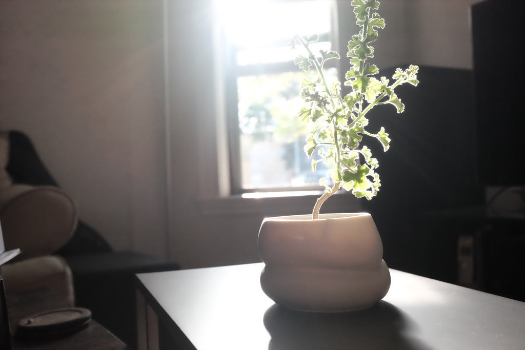 French lace in porcelain vessel