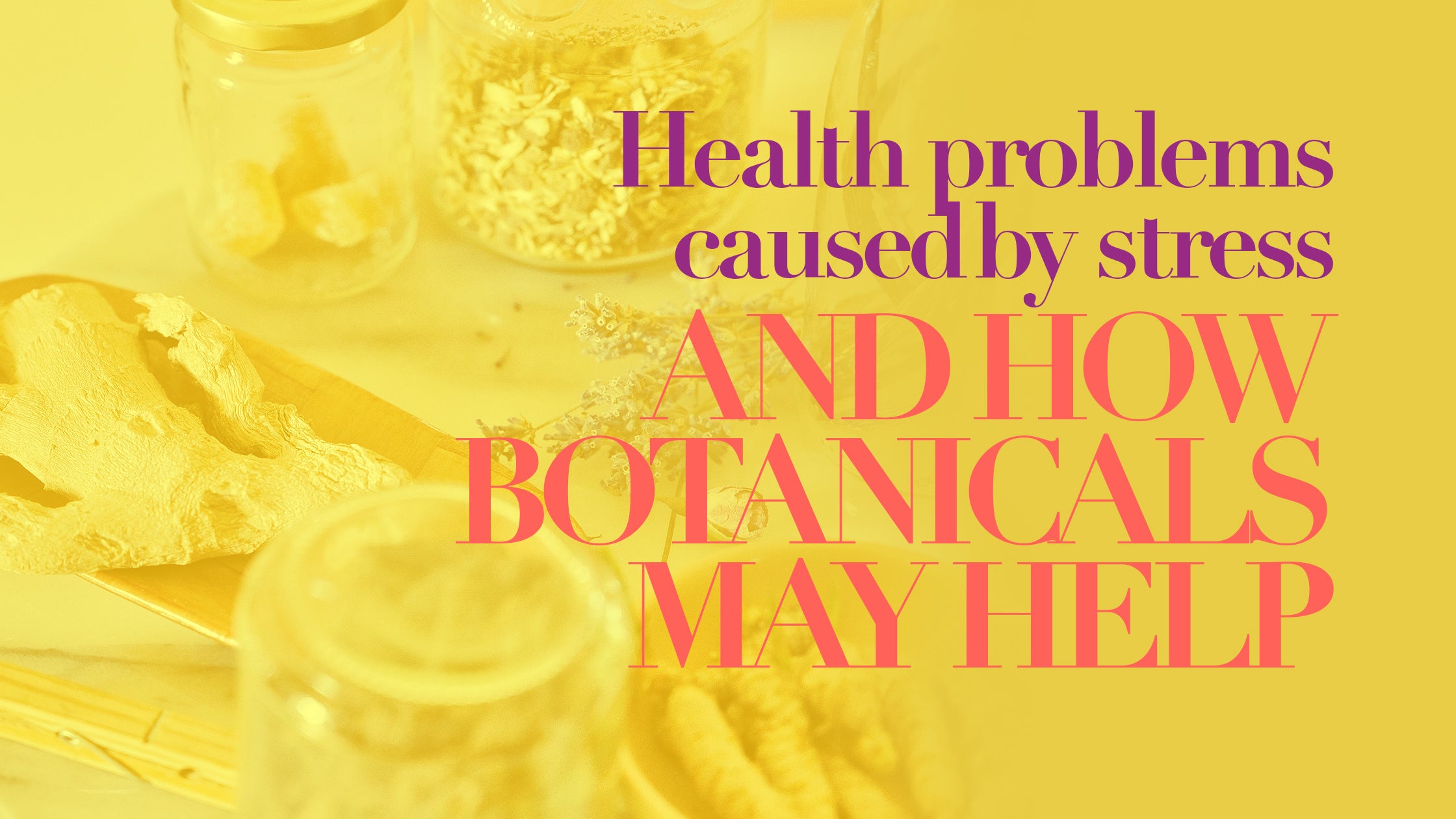 health-problems-caused-by-stress-and-how-botanicals-may-help-the