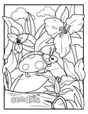 Bee Coloring Book Page #4 - Ladybug