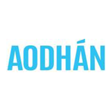 Low cost Aodhan wheels sales special